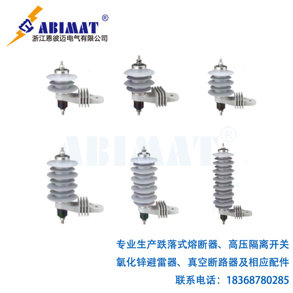 防污型避雷器1-恩彼邁